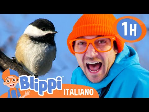 Blippi alla scoperta degli uccelli – Animali nella natura | Blippi | Video educativi per bambini