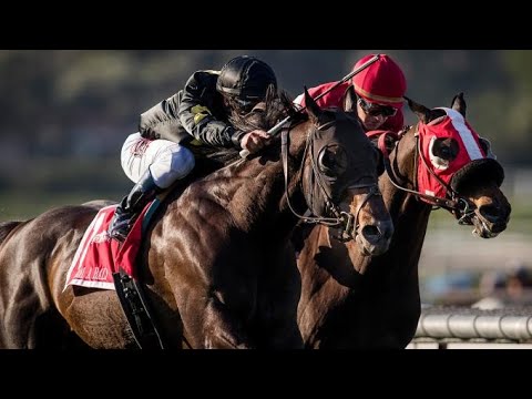 Bal A Bali (Stud Alvarenga - Fox Hill Farm - Calumet Farm)