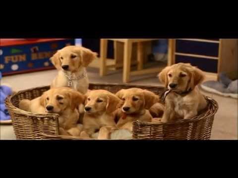 Air Buddies (2006) - Trailer