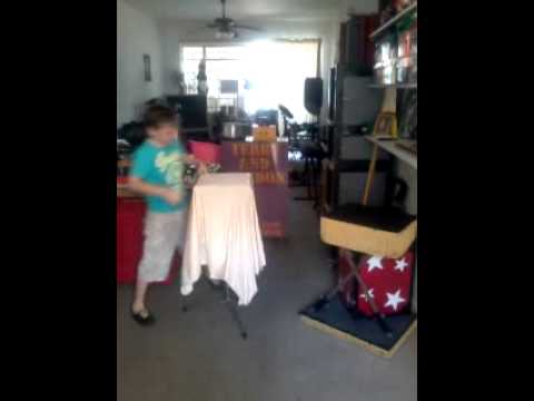 Dice to live animal illusion