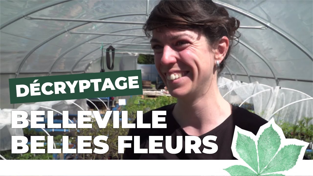 Parisculteurs : une ferme florale en plein Belleville | Paris Nature 🌱  | Ville de Paris