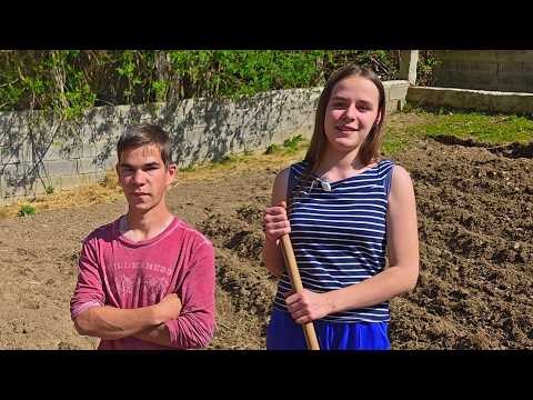 Zaim i Ajla na njivi, počela sjetva, stigla koza, cuko i moderne kamere