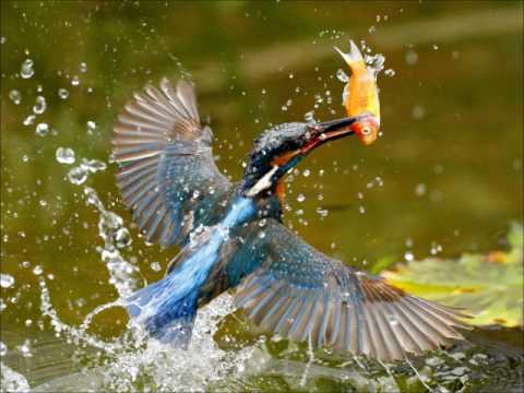 馬冠中 醫師導讀   未知的實相卷一  第2部,第116頁起