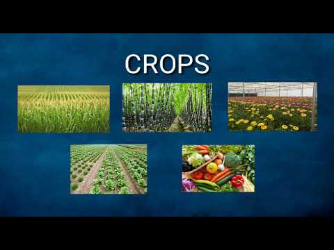 Grade standard: pgr fertifung water soluble granules, for ag...