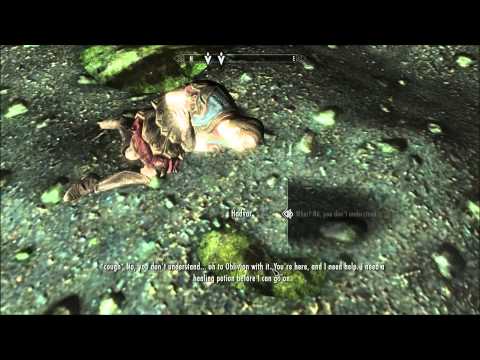 Skyrim mod: Live another life,alternate start