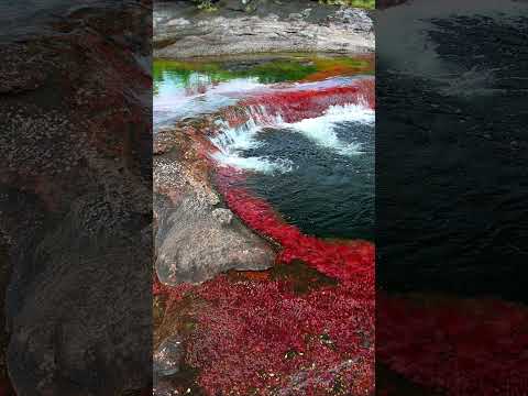 “En el corazón de la Sierra de La Macarena, Meta