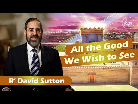All the Good We Wish to See | Rabbi David Sutton
