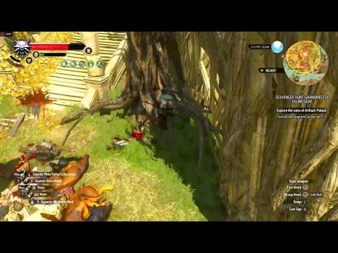 Geralt Sword Dance (Northern Wind Bomb+Whirl+Bloodbath Mutation) against a Huge Number of Enemies!