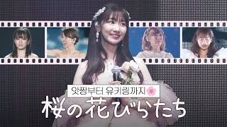 Download lagu [자막] AKB48 - 벚꽃잎들 (桜の花びらたち) 졸업 ver. mp3