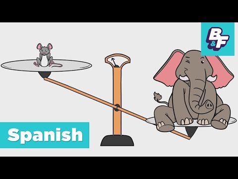 Learn Spanish Opposite Words for Children with BASHO & FRIENDS - Los Opuestos