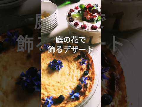 灼熱の太陽に庭の花を交互に植えるにはどうすればよいですか？ 5つの乾燥に強い植物  庭園