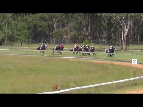 Nanango Races 31/03/2018 Race 2 PURSERS BUSES PLATE