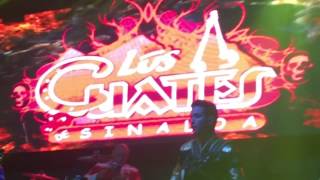 los cuates de sinaloa ismael el mayo dallas texas 05-23-2016