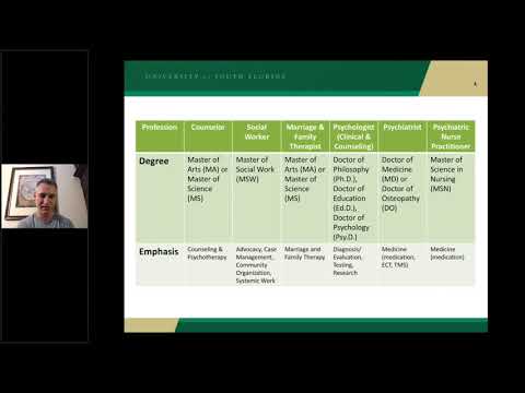 Introduction to the Clinical Mental Health Counseling Profession in Florida