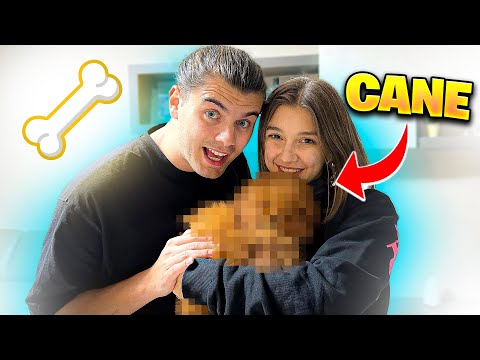 HO REGALATO UN CUCCIOLO A MIA SORELLA 🐶