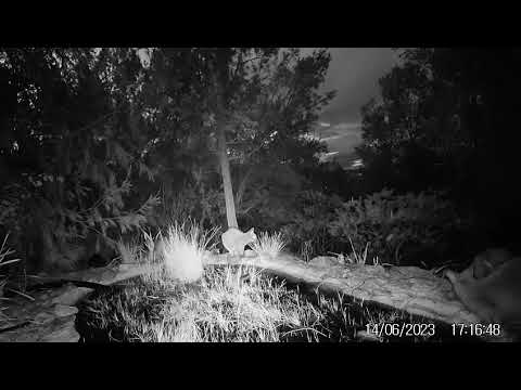 Thumbnail of the embedded YouTube video