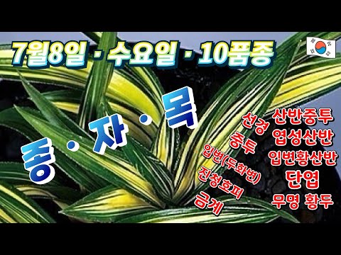 유튜브 썸네일