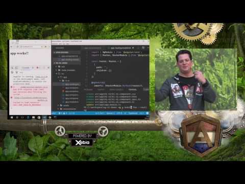 NG-NL 2017: David Muellerchen - ACME (Angular-Cli Manage everything)