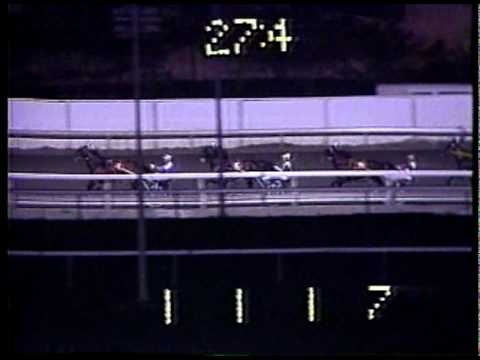 1985 Meadowlands Pace - Nihilator & Bill O'Donnell