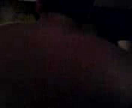 Muay Thai in room 715 pt1