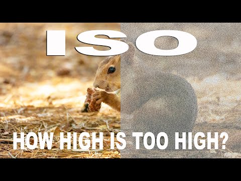 The Reality of High ISO Photography Put To The Test