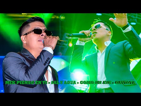 MIX: PIENSO EN TI - SAL Y AGUA - COMO UN AVE - GAVIOTA