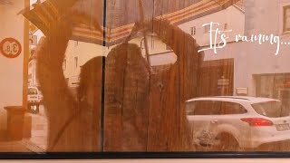 Rainy day vlog ☔🌧️ | A cozy day in my life | Slow living in Germnay