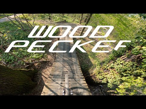 Woody war noch nie in so schlechtem Zustand 😅😢