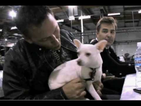 Steve Valentine and Zigs