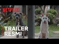 June & Kopi - Trailer