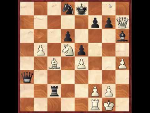 Kasparov - Shirov