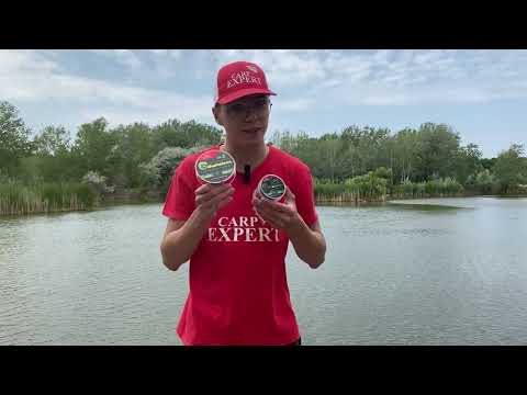 Carp Expert Chameleon Dark Green Mono Line 600m