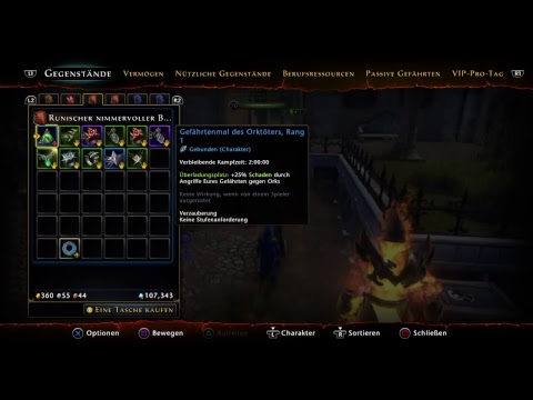 Neverwinter Trickserschurke im Flussviertel #3