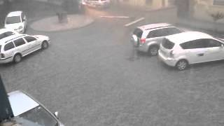 Neurje_dvorišče RTV Koper, 12. junij 2012