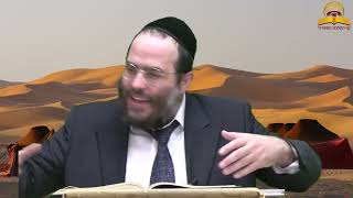 האם נח היה איש חסד יותר מאברהם? הרב שלמה ברוורמן (קו ההלכה הספרדי) - התמונה מוצגת ישירות מתוך אתר האינטרנט יוטיוב. זכויות היוצרים בתמונה שייכות ליוצרה. קישור קרדיט למקור התוכן נמצא בתוך דף הסרטון האם נח היה איש חסד יותר מאברהם? הרב שלמה ברוורמן (קו ההלכה הספרדי) - התמונה מוצגת ישירות מתוך אתר האינטרנט יוטיוב. זכויות היוצרים בתמונה שייכות ליוצרה. קישור קרדיט למקור התוכן נמצא בתוך דף הסרטון