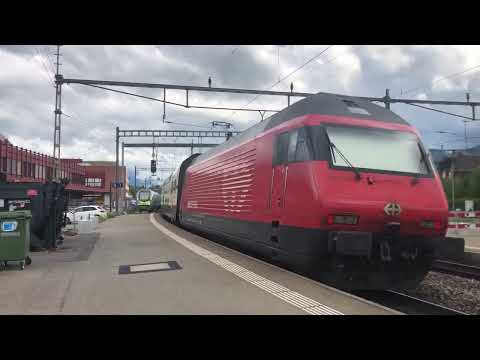 Ausfahrt des IC 61 in Thun