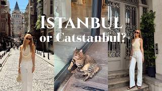 Weekend in Istanbul 🐈 City Vibes, Restaurants & Cats