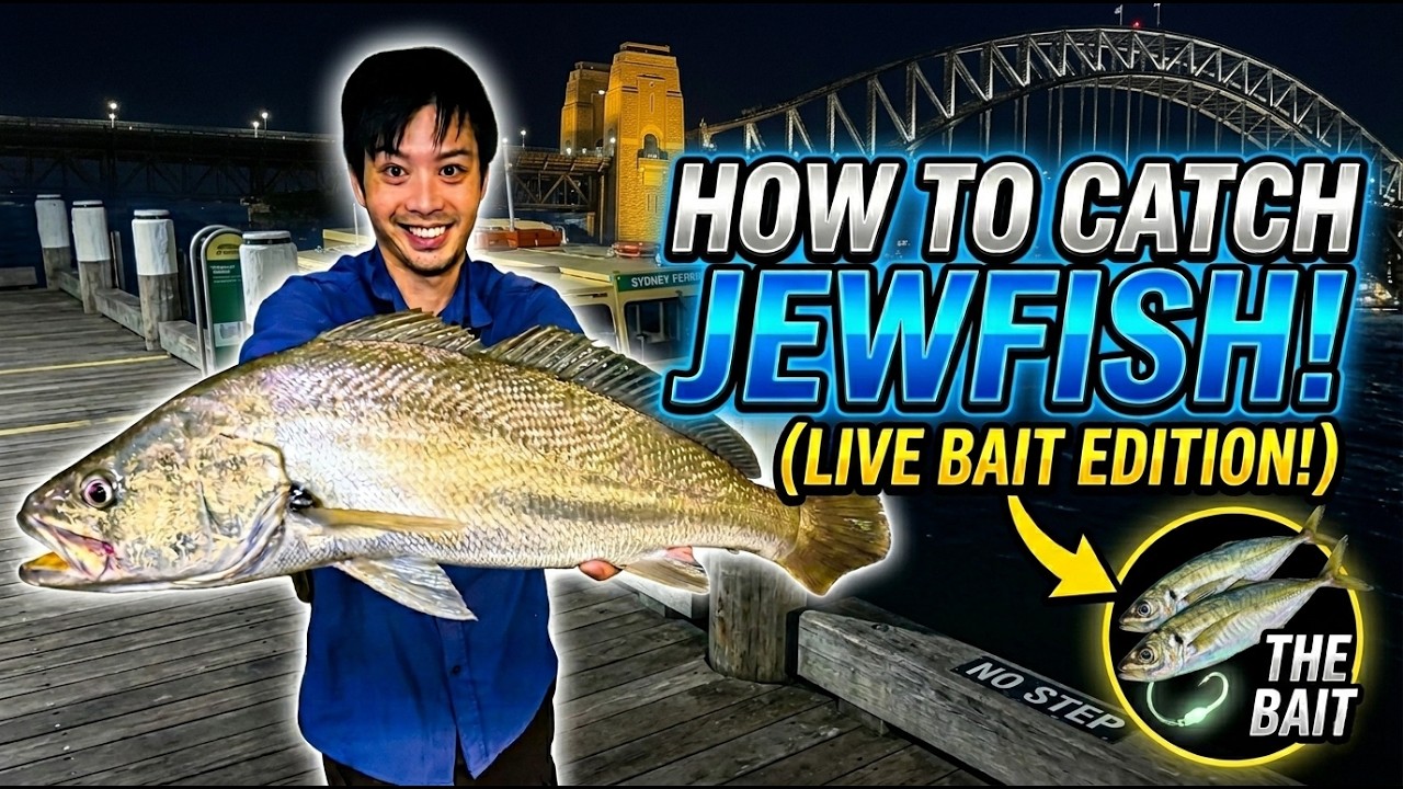 Yellowtail Scad Beats the 'Ghost of the Estuary': Shroom's Live-Bait Mulloway Walk-Through