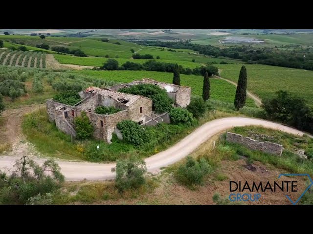 Azienda agricola con podere , vigneto Brunello di Montalcino e oliveto
