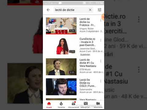 Fratica Show-Lectii de dictie