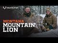 Montana Mountain Lion