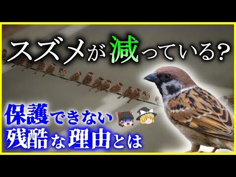 リダイレクトアイコン