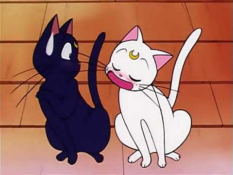 Luna scratches Artemis