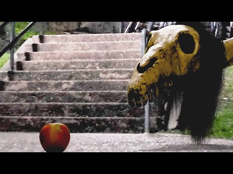 Long Horse Eats An Apple!