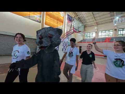 Protect the binturong with the local communities