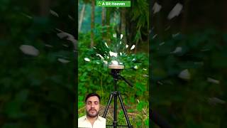 Download lagu #archery Blackwood Bamboo & Balloon 🎈🏹🎍😍 291125 #bamboogun #diybamboo #greenscreenvideo #shorts mp3