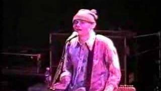 Zwan - 14 - Endless Summer