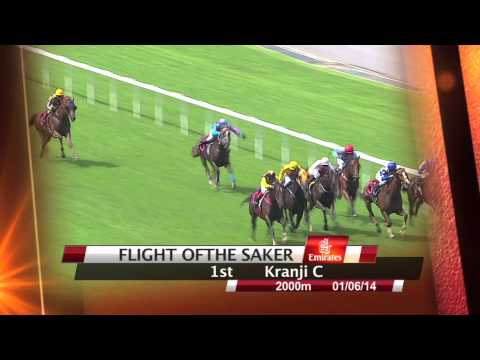 Emirates Singapore Derby 2014 Contenders (Flight Ofthe Saker)