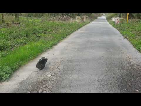 Kläranlage Kleine Emscher - Part 1 - Stillgelegt - Ex Köttelbecke - jetzt Pumpwerk Duisburg Fahrn