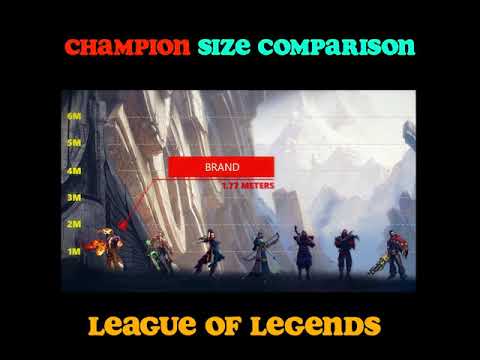 Champion Size Comparison